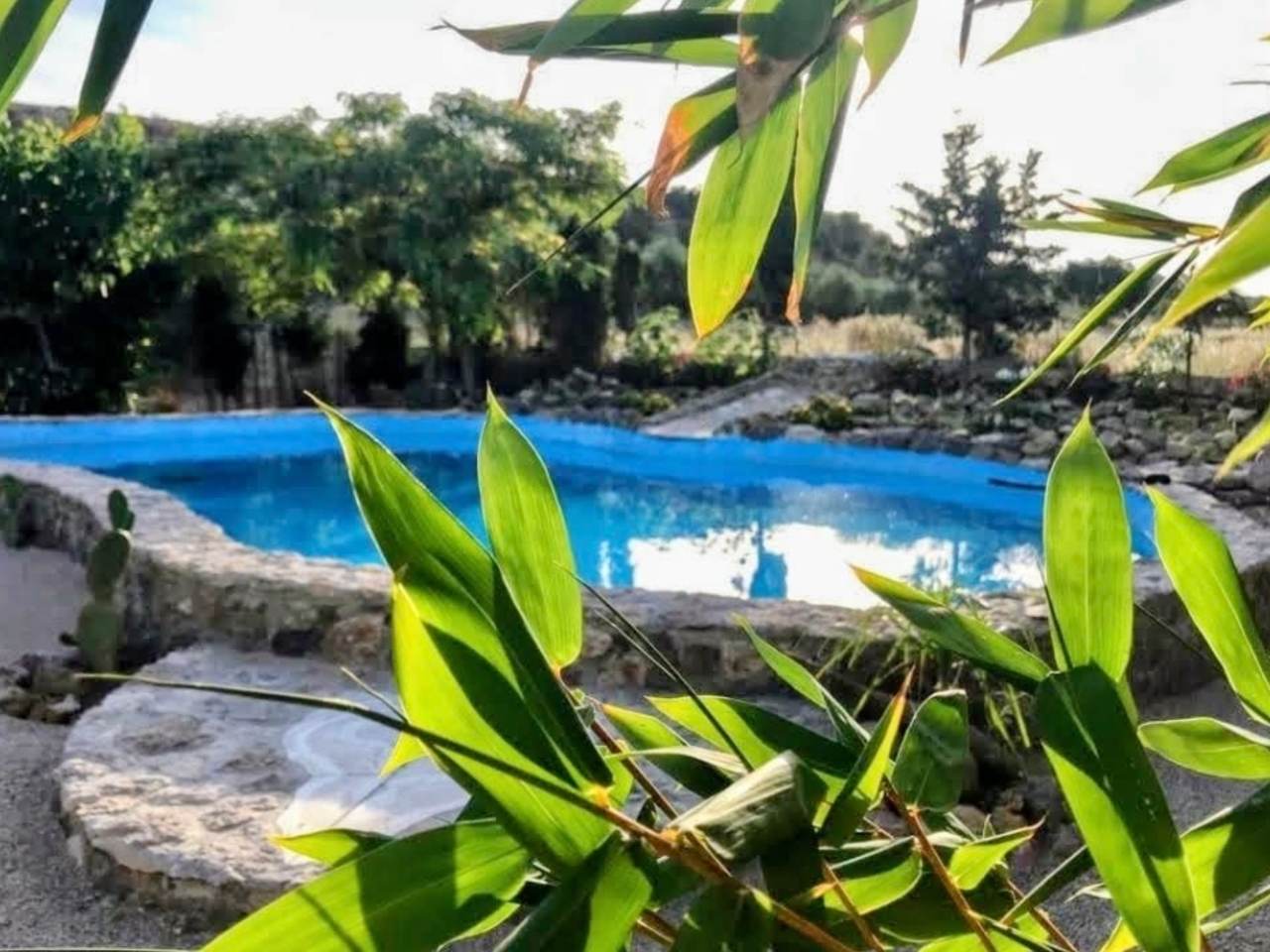 Chalet con piscina en partida Cucuch - Novelda