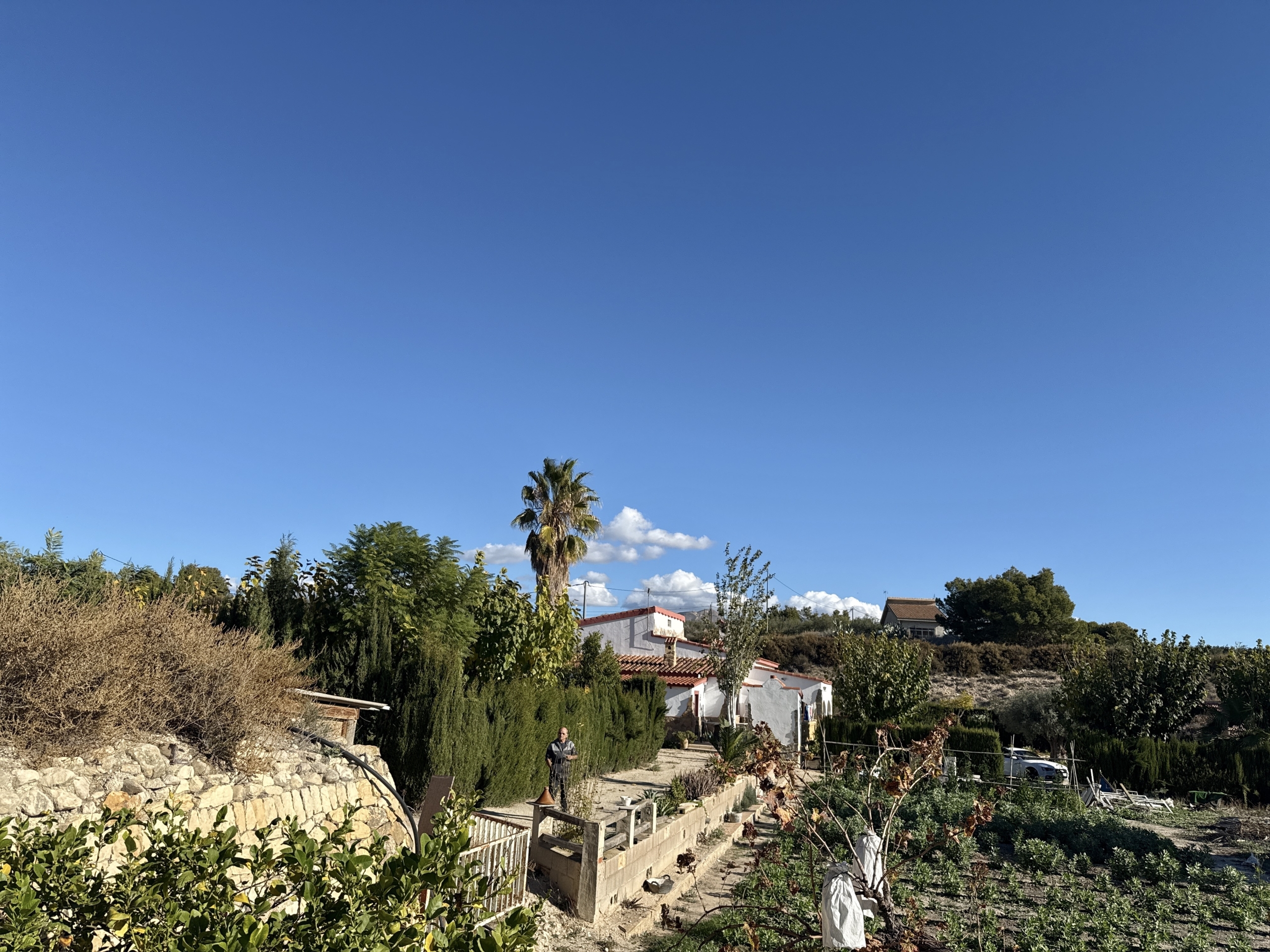 Flow_IMG_20251118_103433_01_013