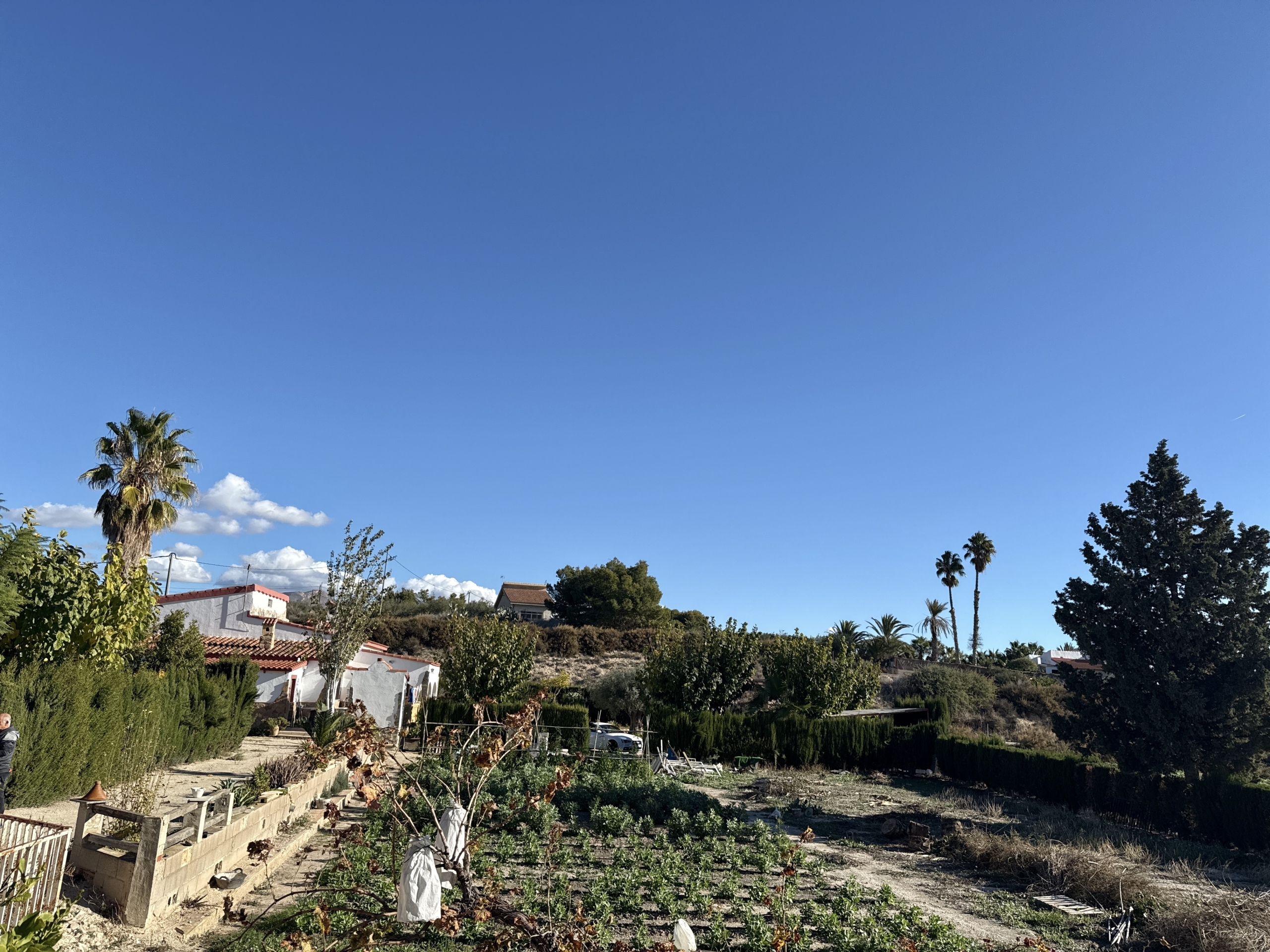 Flow_IMG_20251118_103436_01_014