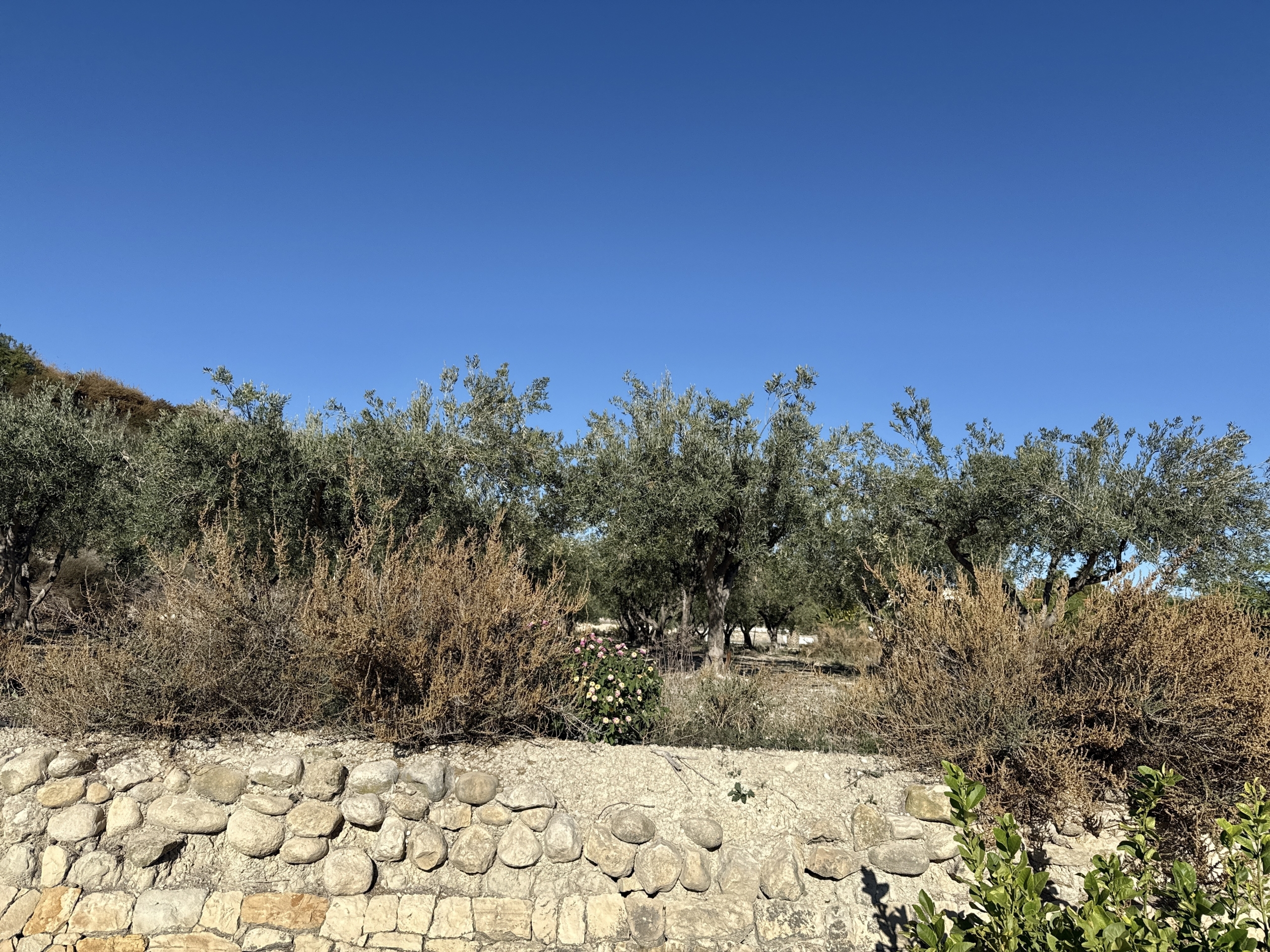 Flow_IMG_20251118_103500_01_017