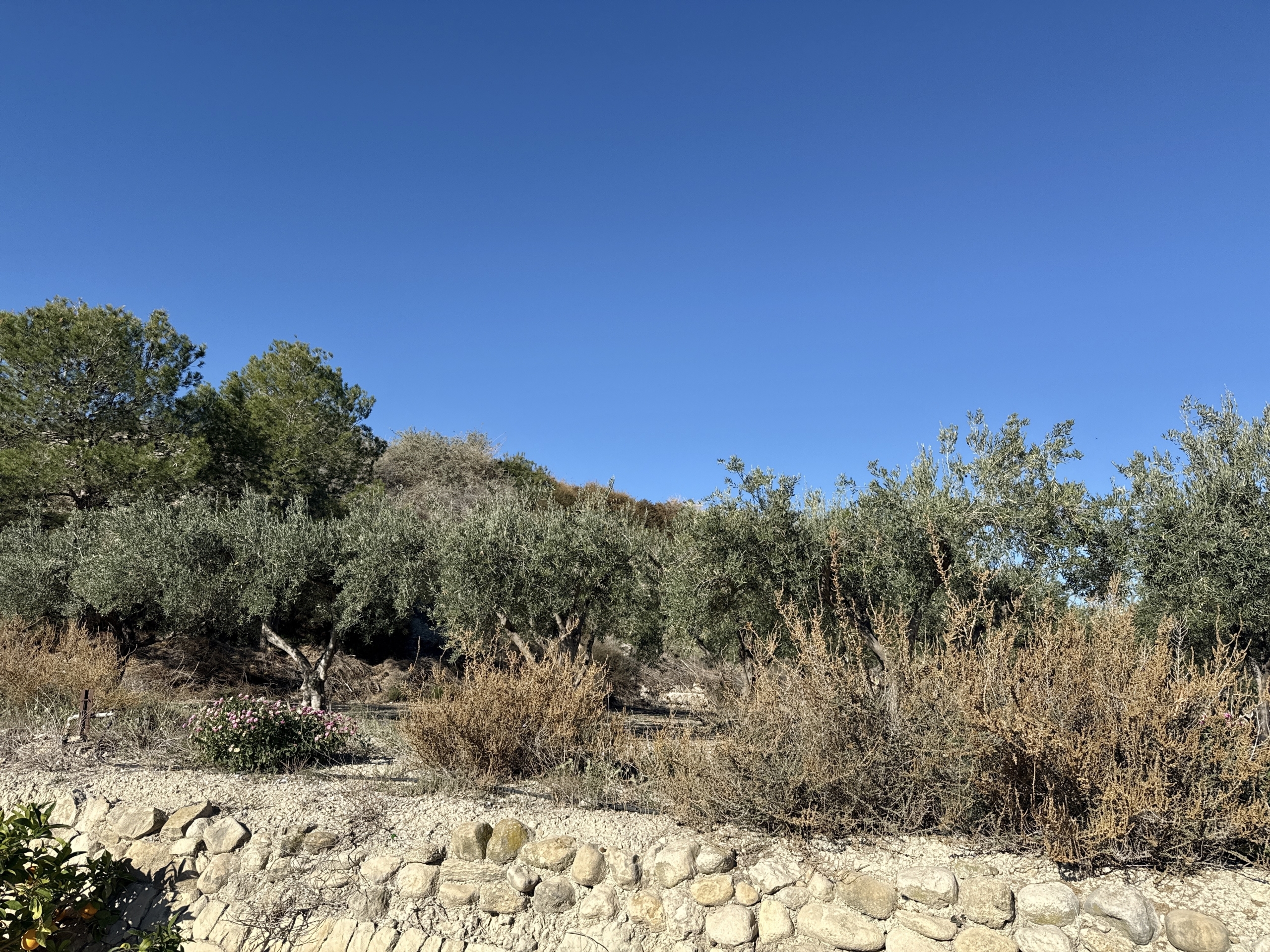 Flow_IMG_20251118_103506_01_018